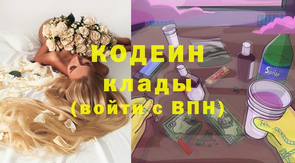 эйфоретик Арсеньев