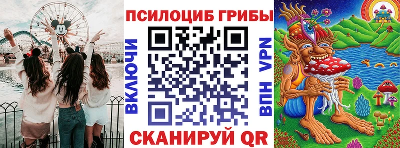 купить   Афипский  Галлюциногенные грибы GOLDEN TEACHER 
